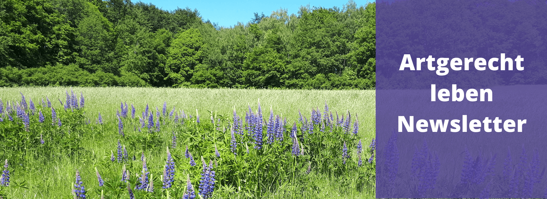 Artgerecht leben Newsletter (1)
