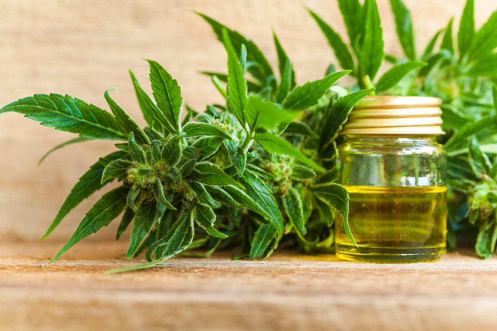 Cannabis,Cbd,Oil,Hemp,Products
